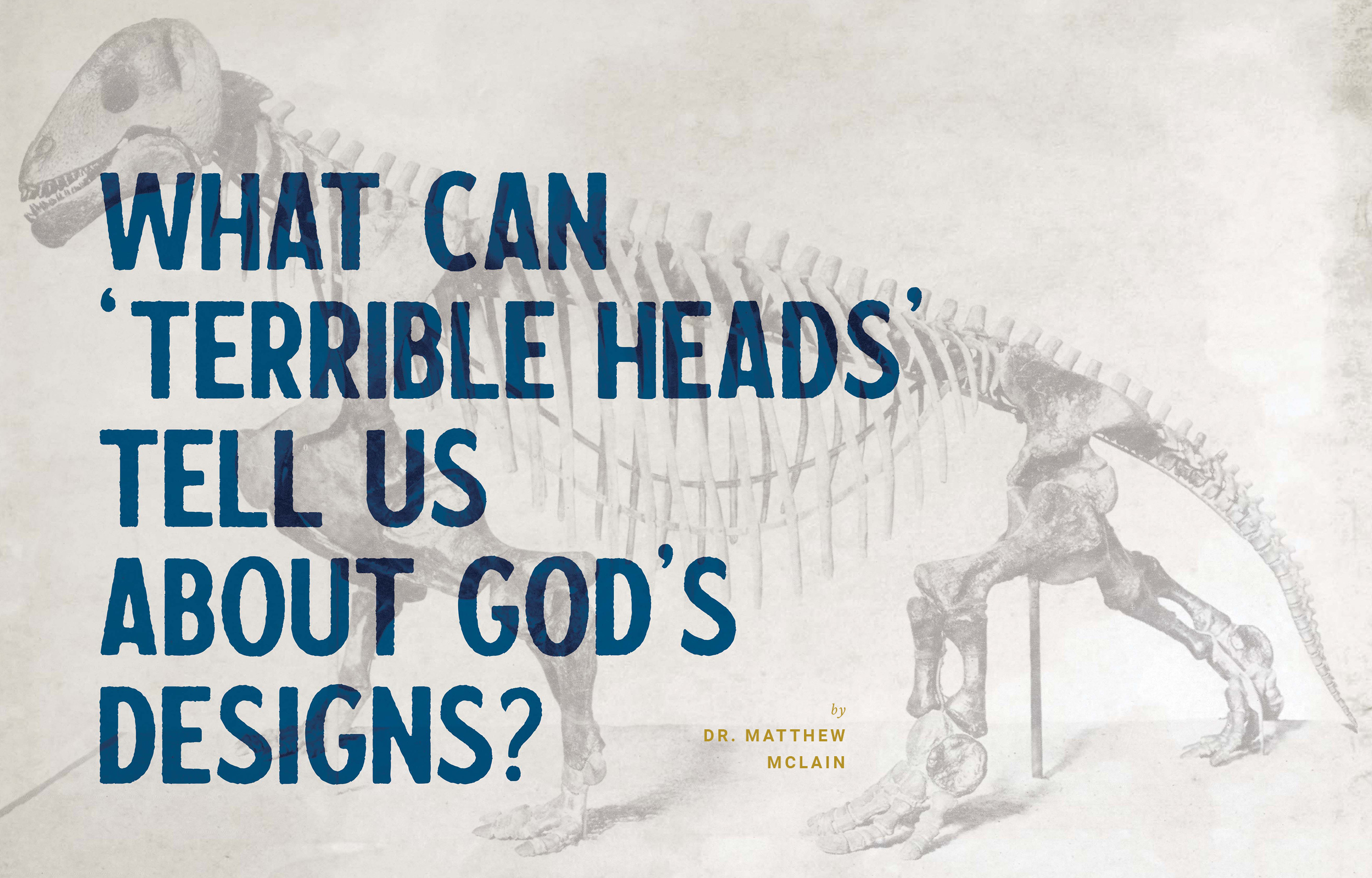 What Can ‘Terrible Heads’ Tell us About God’s Designs?
