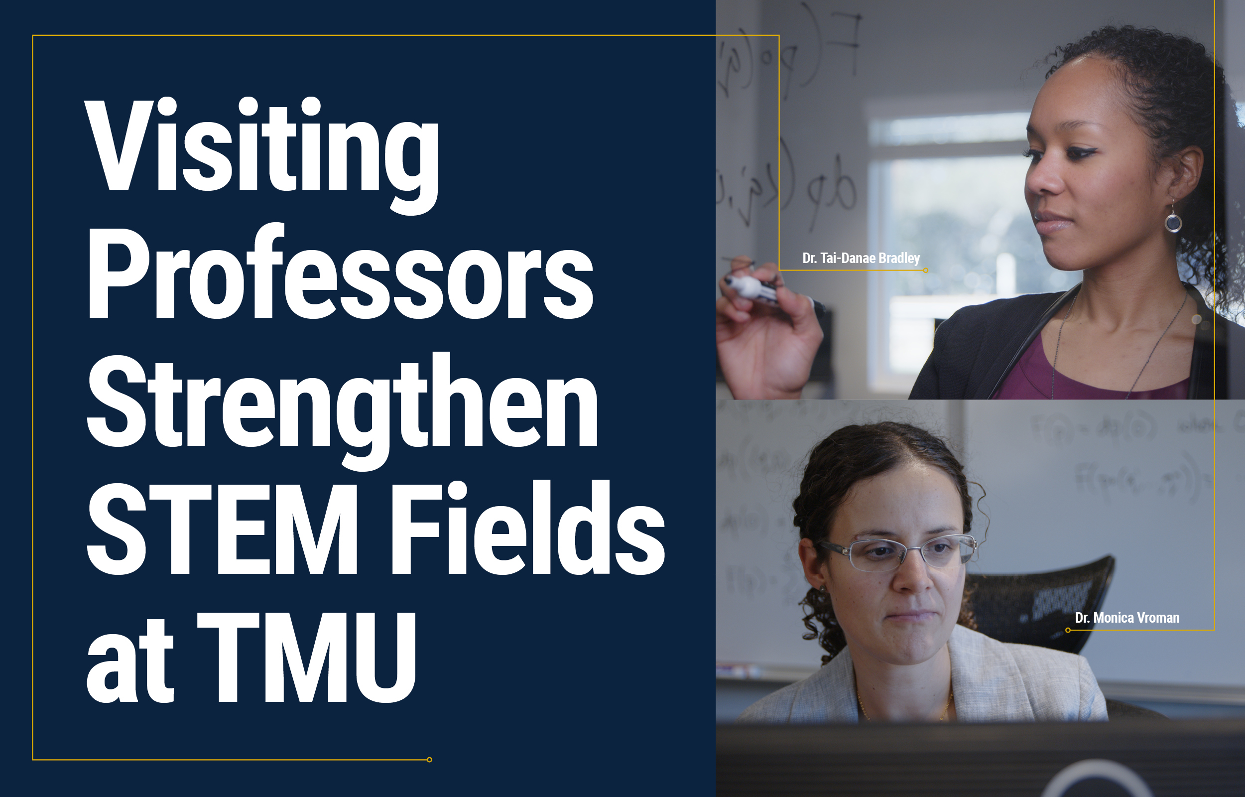 Visiting Professors Strengthen STEM Fields at TMU Featured Image
