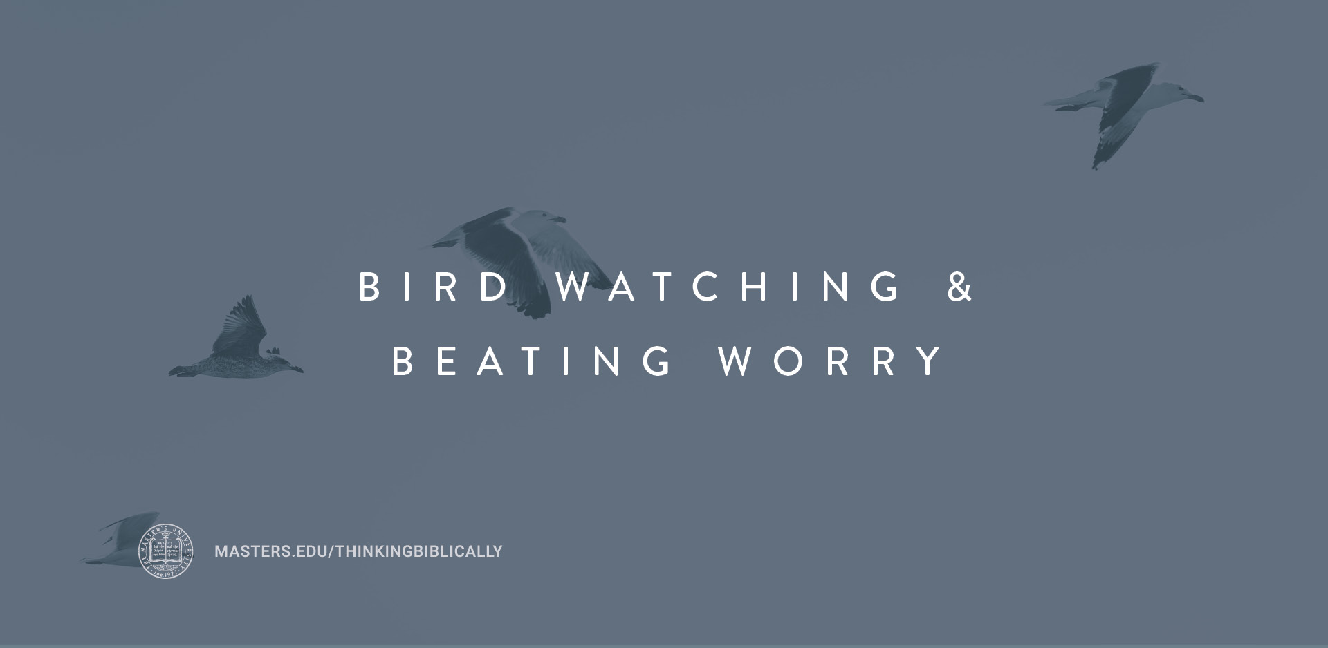 Bird Watching and Beating Worry Featured Image