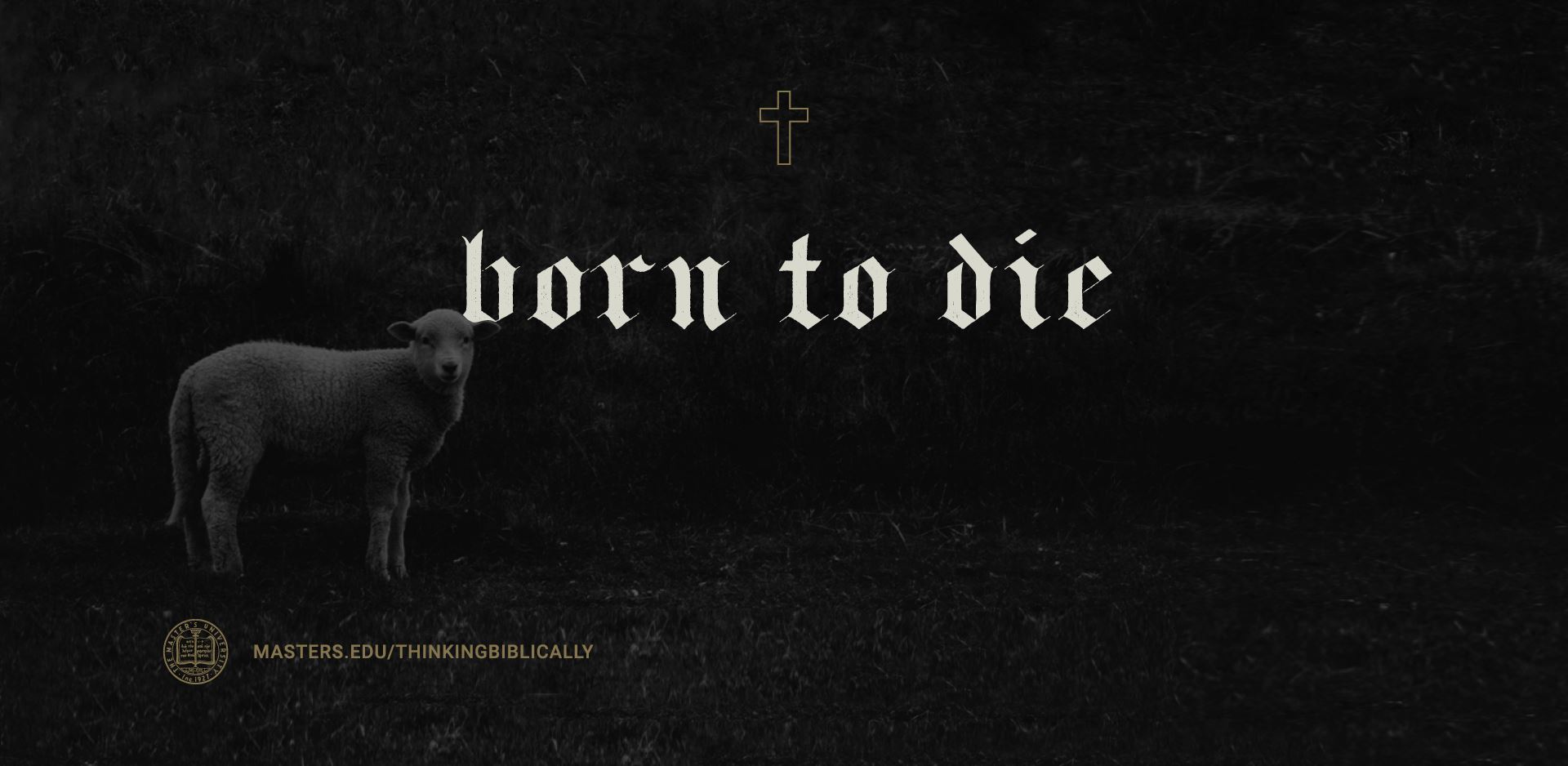 Born to Die Featured Image