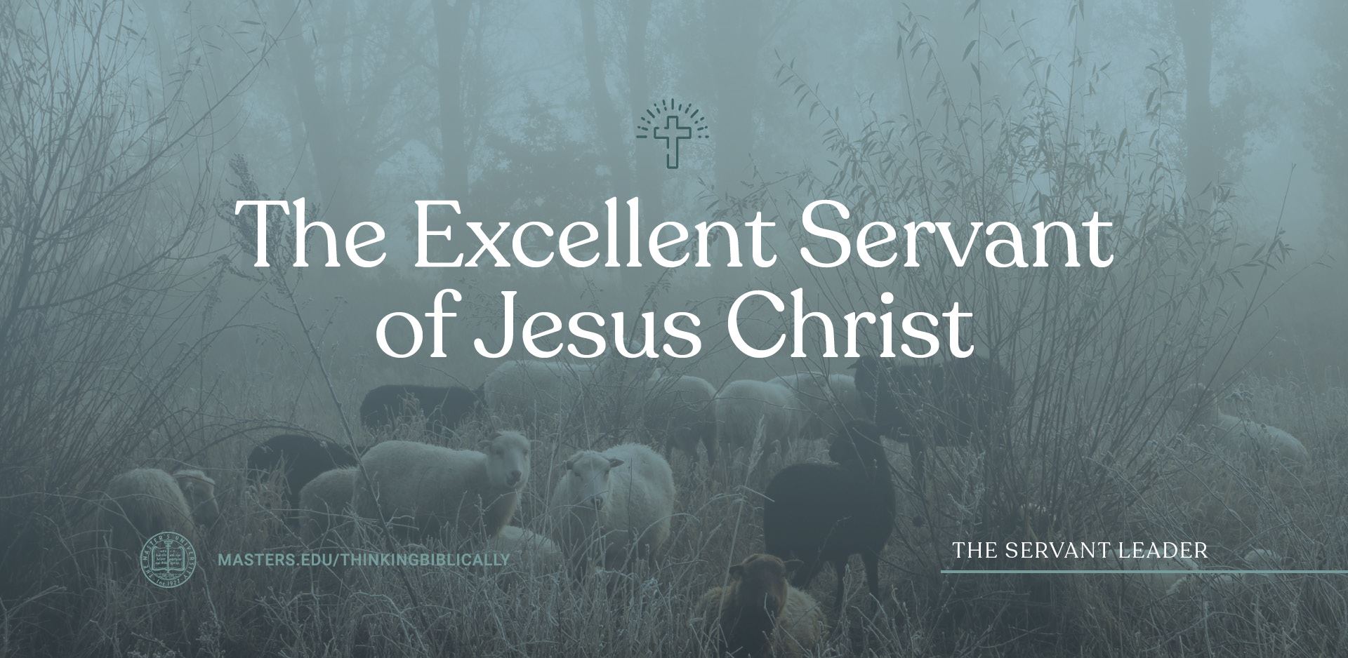 The Excellent Servant of Jesus Christ Featured Image