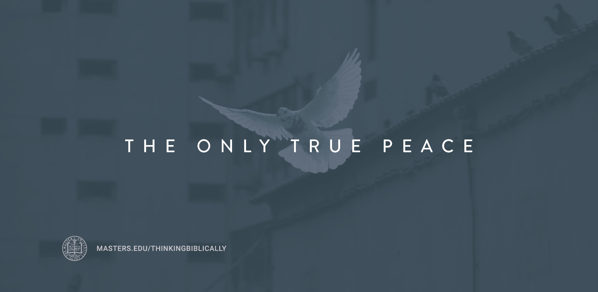 The Only True Peace Featured Image