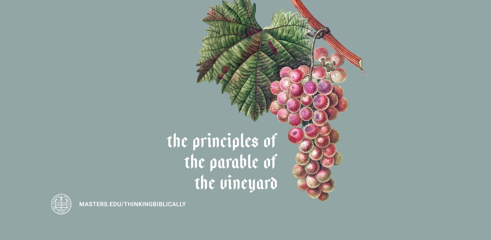 The Principles of the Parable of the Vineyard Featured Image