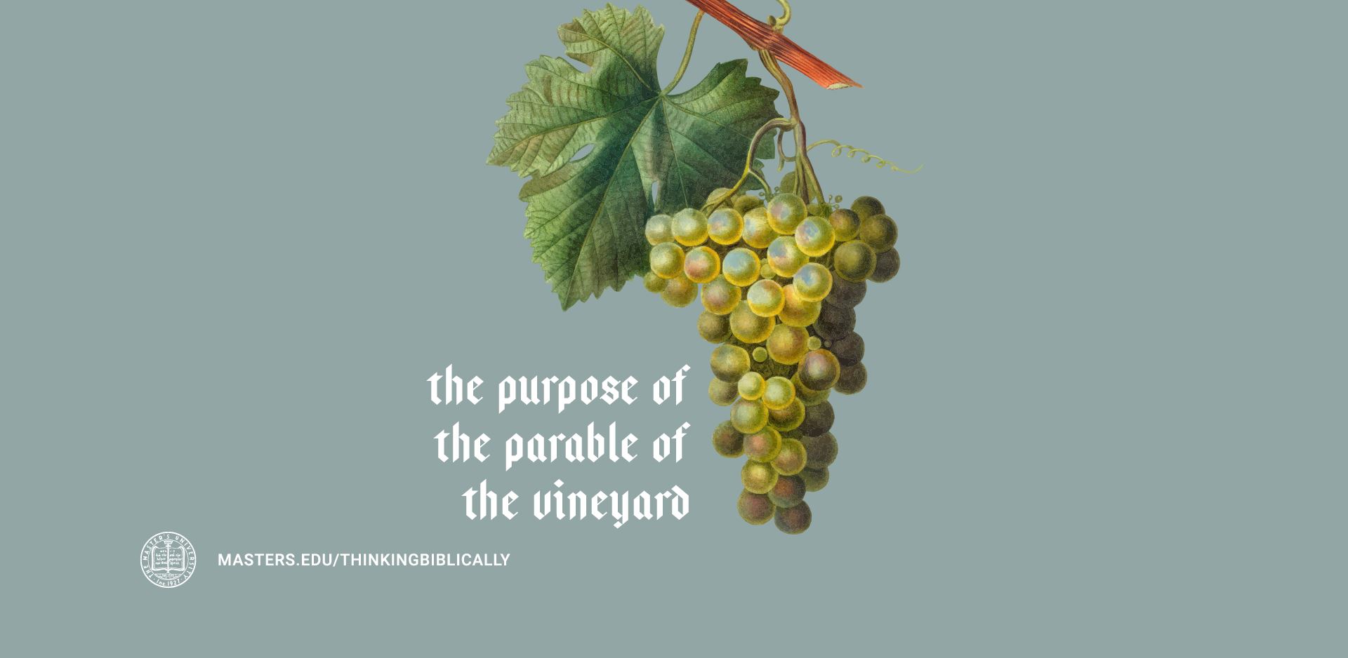 The Purpose of the Parable of the Vineyard Featured Image