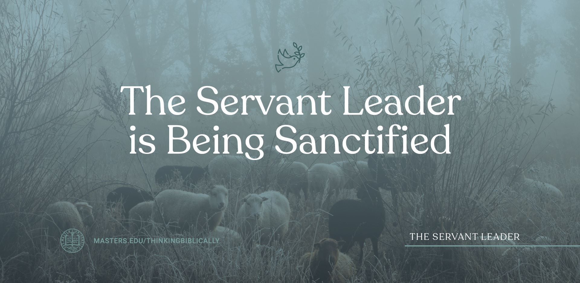 The Servant Leader Is Being Sanctified Featured Image