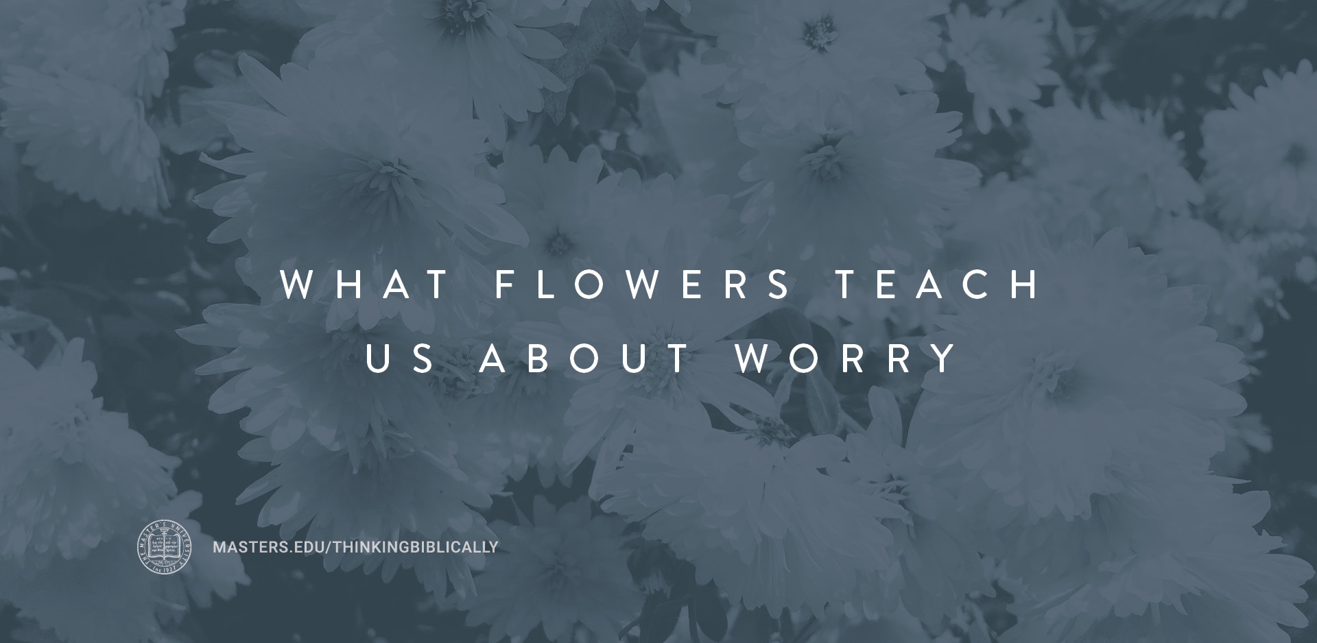 What Flowers Teach Us About Worry Featured Image