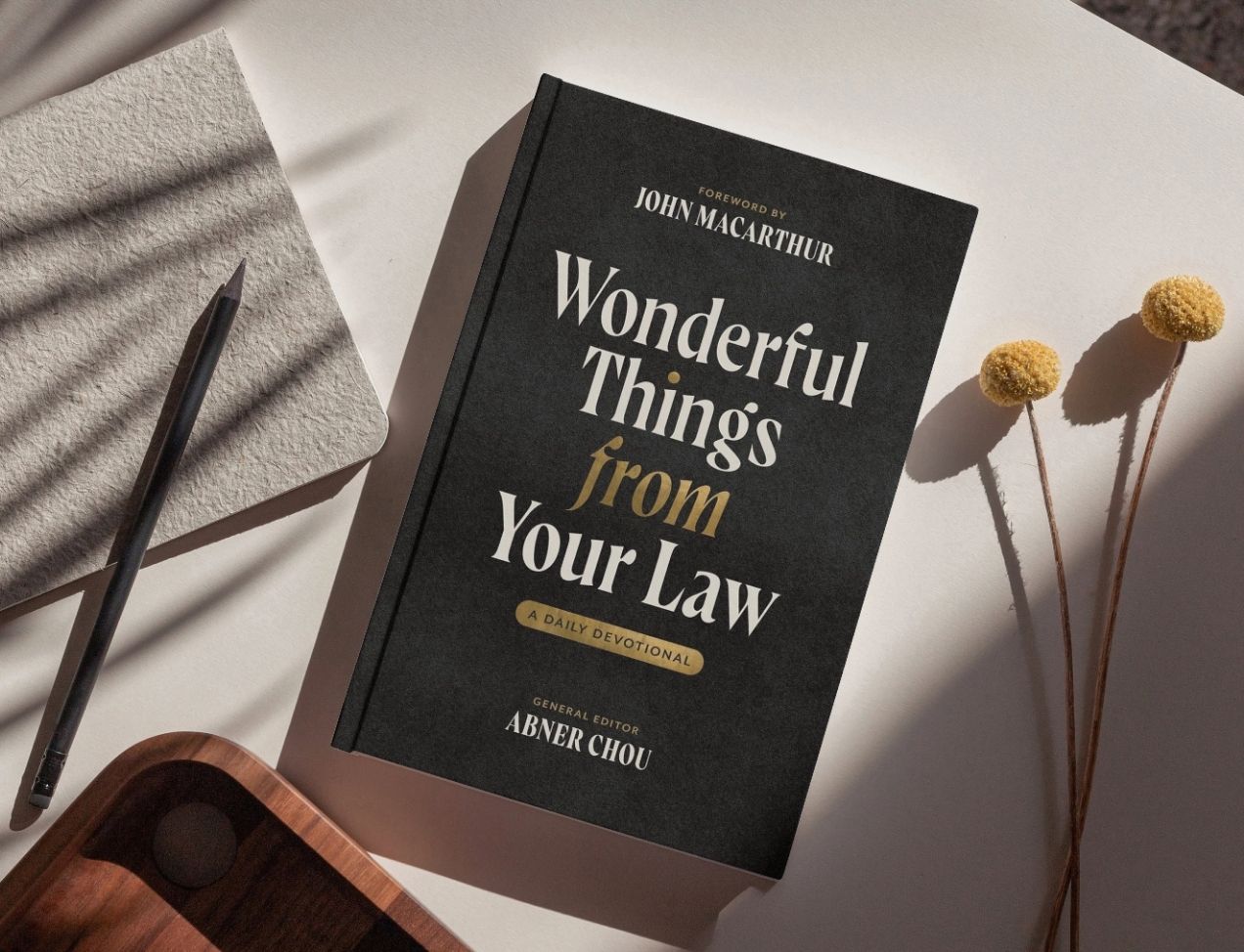 A Christmas Letter from Dr. John Stead