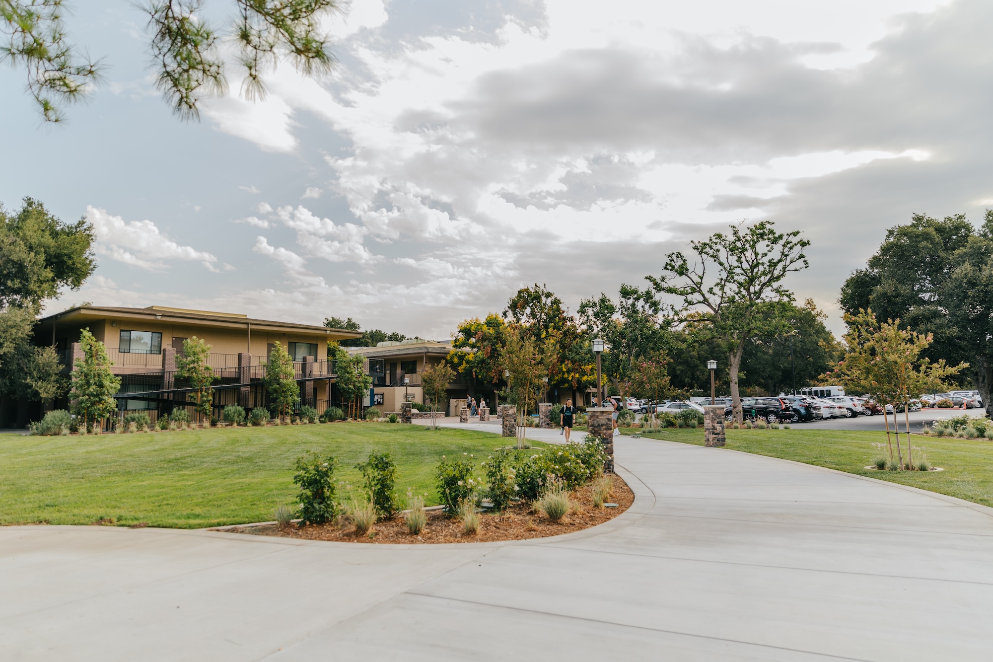 TMU Professors Honored in ACBC’s 2025 Best Books List